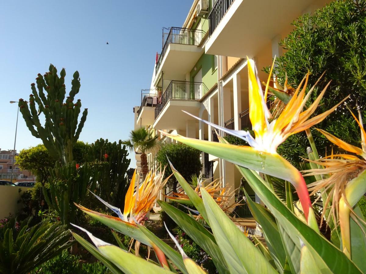 Brisas Del Mar Azul Apartment Torrevieja Exterior photo